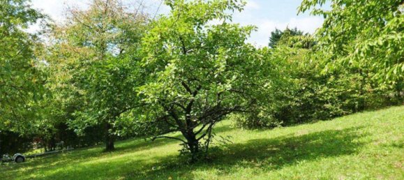 Земельный участок 1392м² в Тульбинг, Австрия № 116441 3