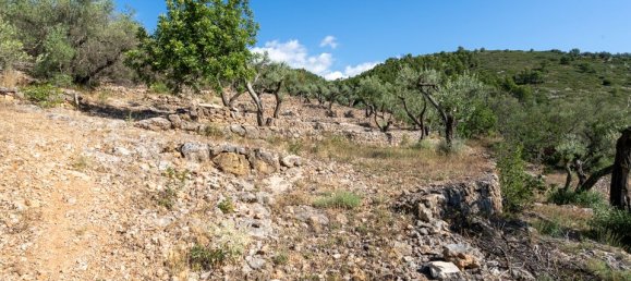 Terreno en Tarragona, Spain 40 m² No. 183973 13