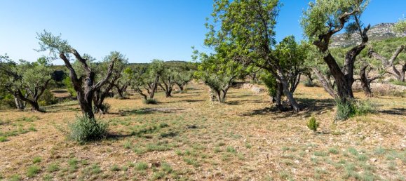 Terreno en Tarragona, Spain 40 m² No. 183973 32