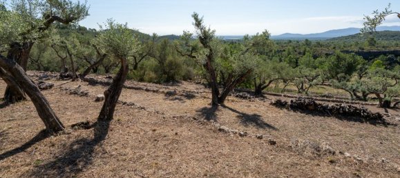 Terreno en Tarragona, Spain 40 m² No. 183973 16