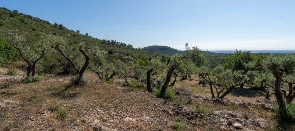 Terreno en Tarragona, Spain 40 m² No. 183973 31