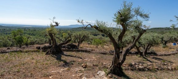 Terreno en Tarragona, Spain 40 m² No. 183973 30