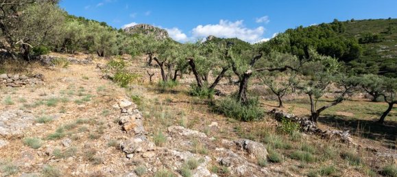 Terreno en Tarragona, Spain 40 m² No. 183973 11