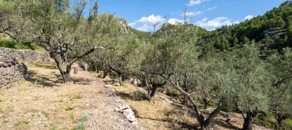 Terreno en Tarragona, Spain 40 m² No. 183973 28