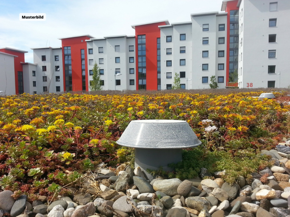 Studio à Emden, Germany No. 65245