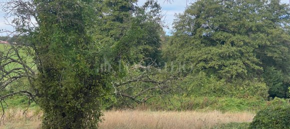 Terrain à Manziana, Italy 5050m² No. 91187 9