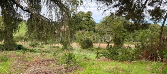 Terrain à Manziana, Italy 5050m² No. 91187 21