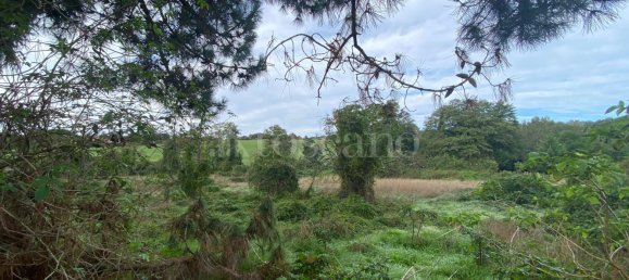 Terrain à Manziana, Italy 5050m² No. 91187 11