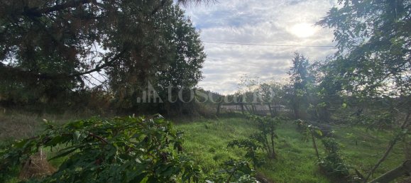 Terrain à Manziana, Italy 5050m² No. 91187 6