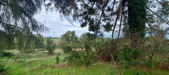 Terrain à Manziana, Italy 5050m² No. 91187 3