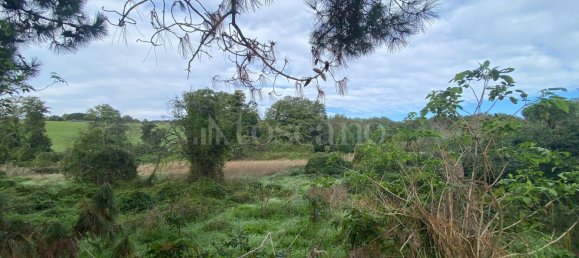 Terrain à Manziana, Italy 5050m² No. 91187 7