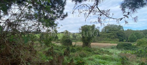 Terrain à Manziana, Italy 5050m² No. 91187 10