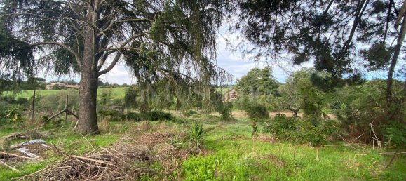 Terrain à Manziana, Italy 5050m² No. 91187 19