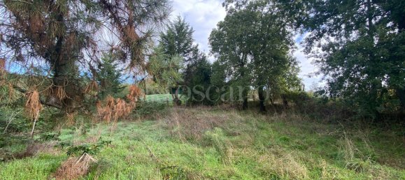 Terrain à Manziana, Italy 5050m² No. 91187 5