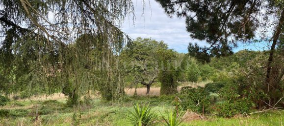 Terrain à Manziana, Italy 5050m² No. 91187 17