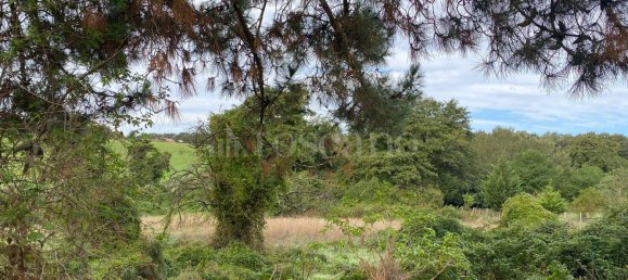 Terrain à Manziana, Italy 5050m² No. 91187 13