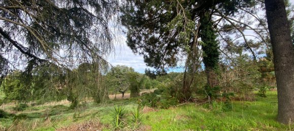 Terrain à Manziana, Italy 5050m² No. 91187 16