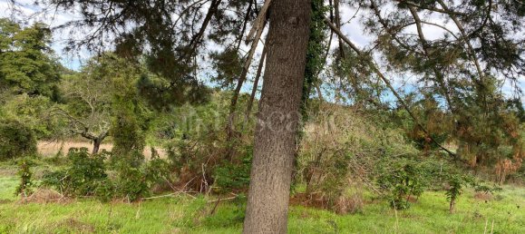 Terrain à Manziana, Italy 5050m² No. 91187 22