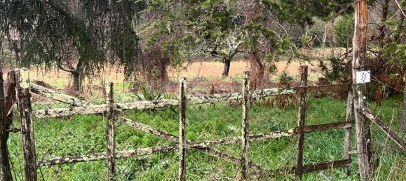 Terrain à Manziana, Italy 5050m² No. 91187 23