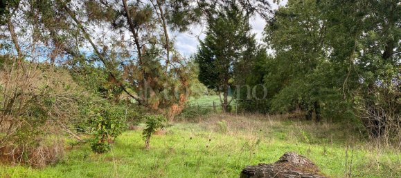 Terrain à Manziana, Italy 5050m² No. 91187 20