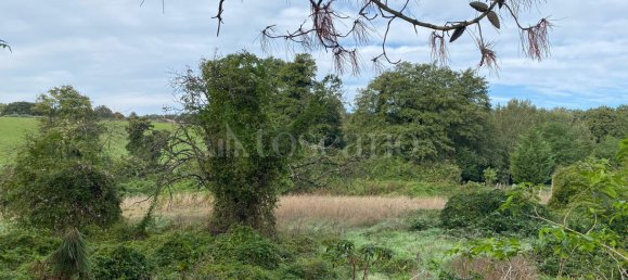 Terrain à Manziana, Italy 5050m² No. 91187 8