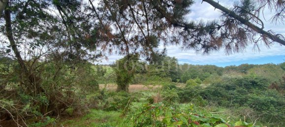 Terrain à Manziana, Italy 5050m² No. 91187 14