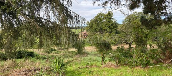 Terrain à Manziana, Italy 5050m² No. 91187 18