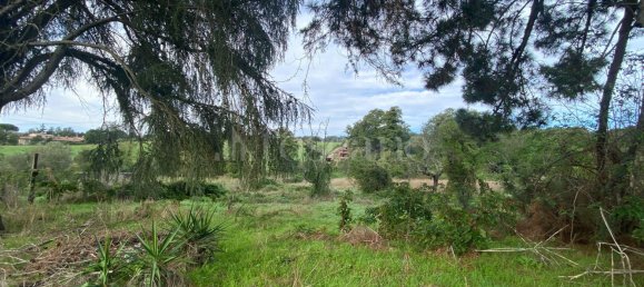 Terrain à Manziana, Italy 5050m² No. 91187 4