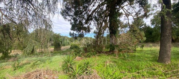 Terrain à Manziana, Italy 5050m² No. 91187 15