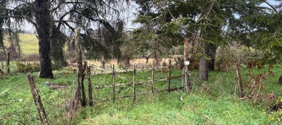 Terrain à Manziana, Italy 5050m² No. 91187 24