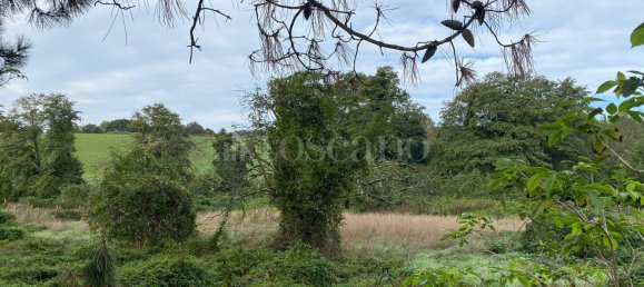 Terrain à Manziana, Italy 5050m² No. 91187 12