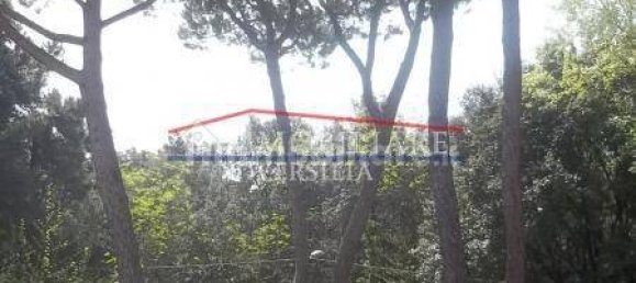 2 bedrooms House in Massa, Italy No. 215077 21