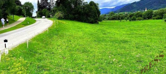 5000m² Land in Kindberg, Austria No. 166178 3