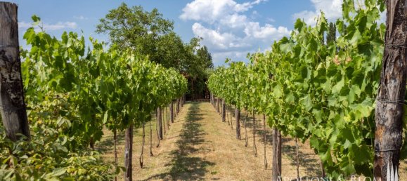 10 bedrooms Building in Siena, Italy No. 102262 3