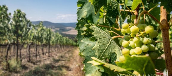 10 bedrooms Building in Siena, Italy No. 102262 4