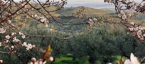 35 bedrooms Villa in San Casciano in Val di Pesa, Italy No. 57609 30