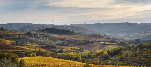 35 bedrooms Villa in San Casciano in Val di Pesa, Italy No. 57609 25