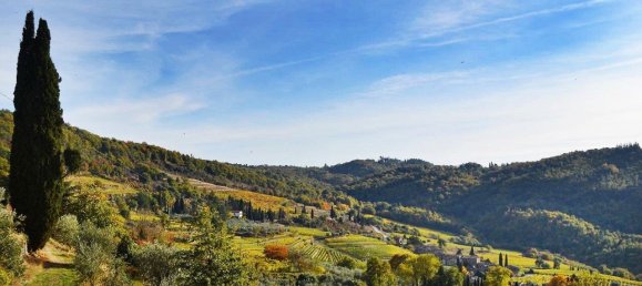 35 bedrooms Villa in San Casciano in Val di Pesa, Italy No. 57609 28