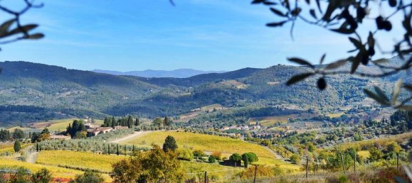 35 bedrooms Villa in San Casciano in Val di Pesa, Italy No. 57609 27