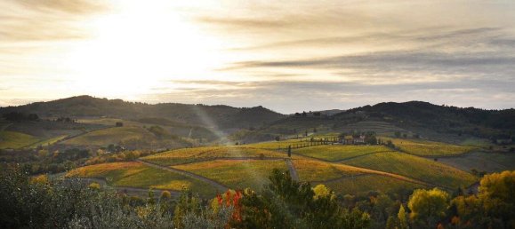 35 bedrooms Villa in San Casciano in Val di Pesa, Italy No. 57609 26