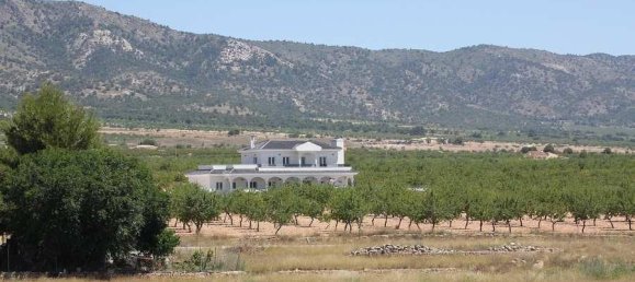 4 bedrooms Villa in Pinoso, Spain No. 11722 15