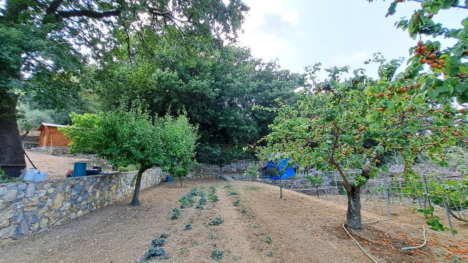  قطعة أرض في Diano Marina, Italy 4000متر مربع رقم 136425