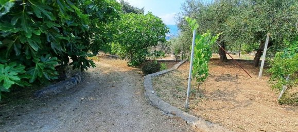  قطعة أرض في Diano Marina, Italy 4000متر مربع رقم 136425 9