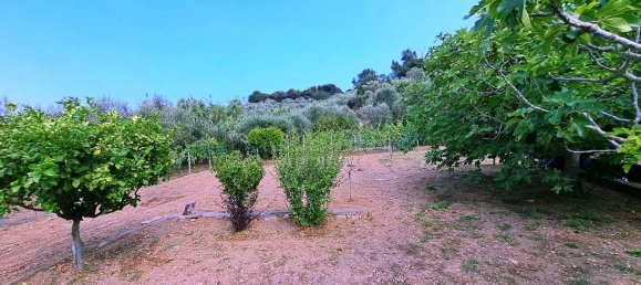  قطعة أرض في Diano Marina, Italy 4000متر مربع رقم 136425 10