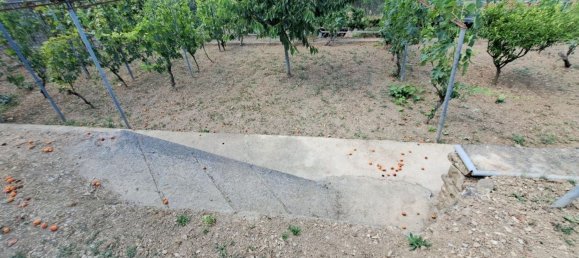  قطعة أرض في Diano Marina, Italy 4000متر مربع رقم 136425 39