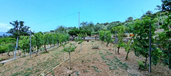  قطعة أرض في Diano Marina, Italy 4000متر مربع رقم 136425 5