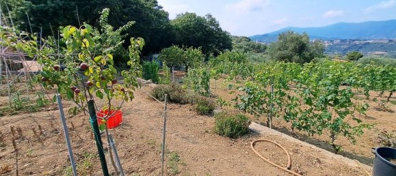  قطعة أرض في Diano Marina, Italy 4000متر مربع رقم 136425 40