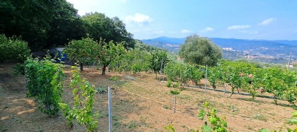  قطعة أرض في Diano Marina, Italy 4000متر مربع رقم 136425 3