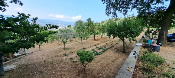  قطعة أرض في Diano Marina, Italy 4000متر مربع رقم 136425 4