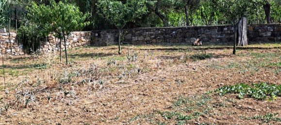  قطعة أرض في Diano Marina, Italy 4000متر مربع رقم 136425 11